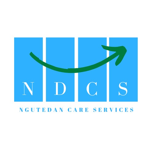 NDCS new correct logo
